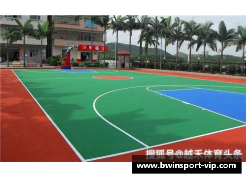 球场双雄：交织的传奇与辉煌