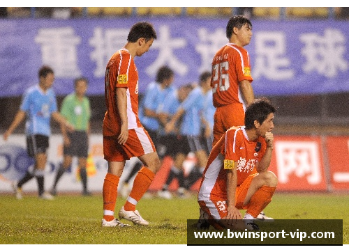 休斯顿自豪：本土球员的辉煌传奇