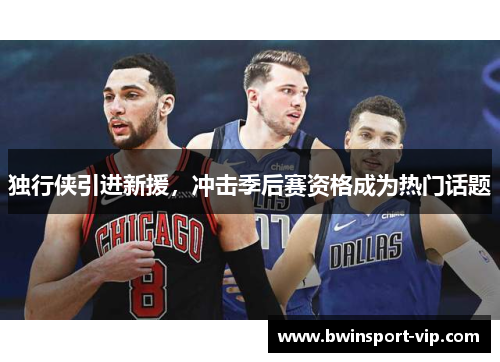 独行侠引进新援，冲击季后赛资格成为热门话题